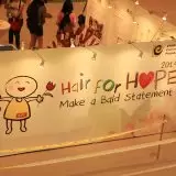 hair for hope 2014